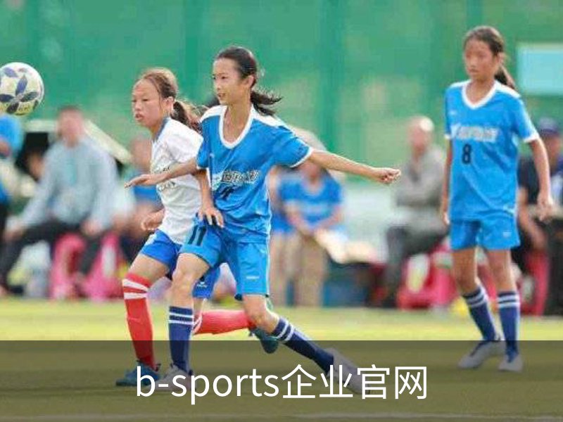 b-sports企业官网概况